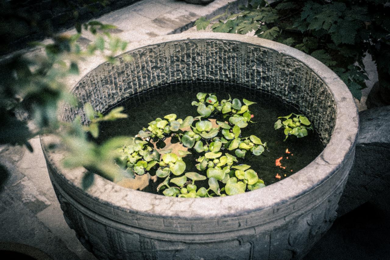 Hotel Selected Residence Pingyao Εξωτερικό φωτογραφία